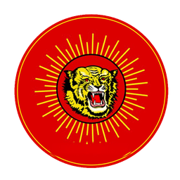 Flag Symbol